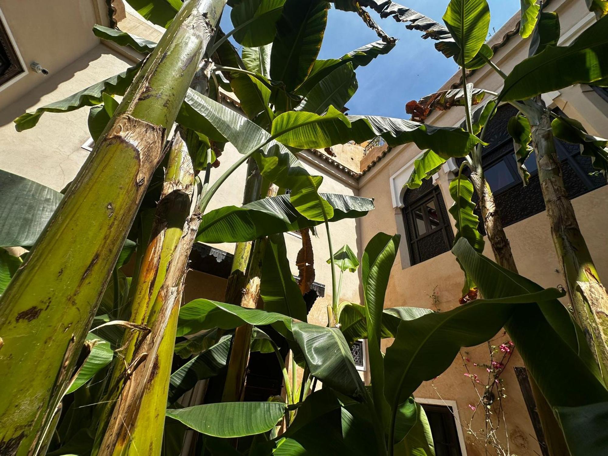 Riad Bamileke Marrakesh Bagian luar foto